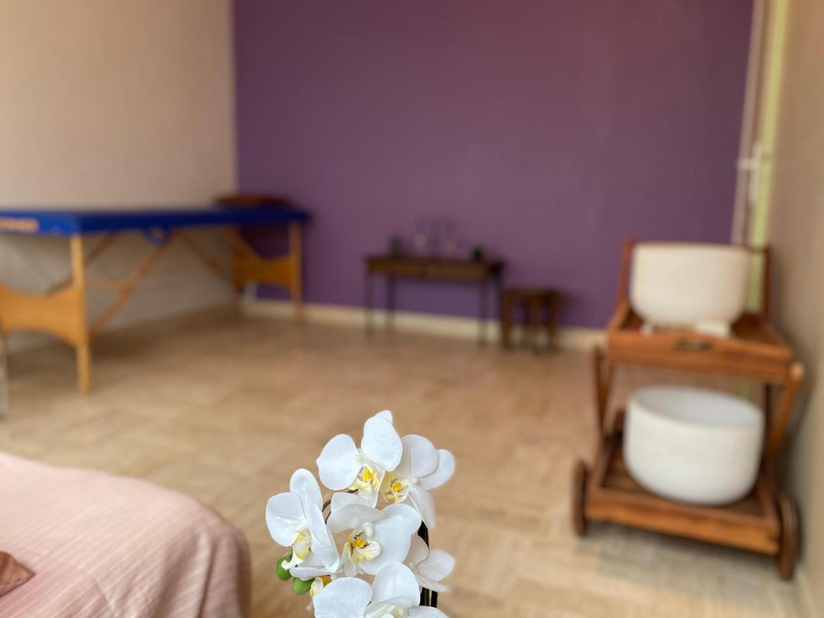 La Maison D'Angelique - Colocation Hoteliere A 150M Gare Tgv- Grande Cuisine Equipee & Salon - Fibre - Netflix Niort Luaran gambar