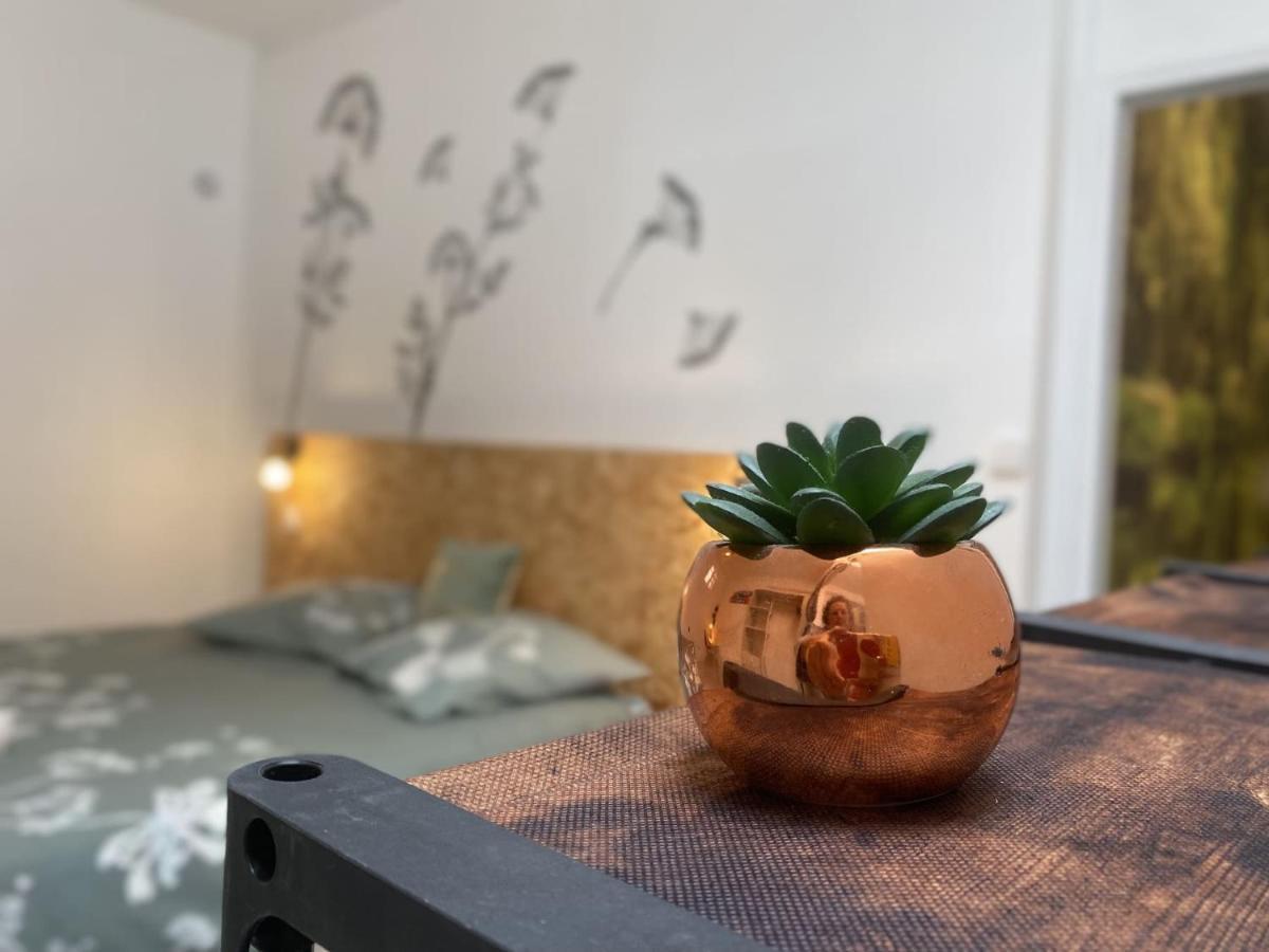 La Maison D'Angelique - Colocation Hoteliere A 150M Gare Tgv- Grande Cuisine Equipee & Salon - Fibre - Netflix Niort Luaran gambar